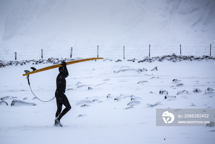 Arctic Surfer