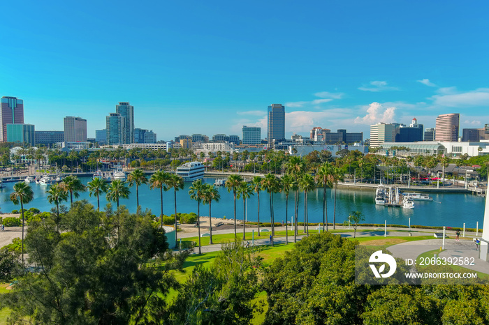 an aerial shot of a gorgeous summer landscape in the harbor with blue ocean water, lush green palm trees and grass, boats docked and skyscrapers and office buildings in the city skyline with blue sky