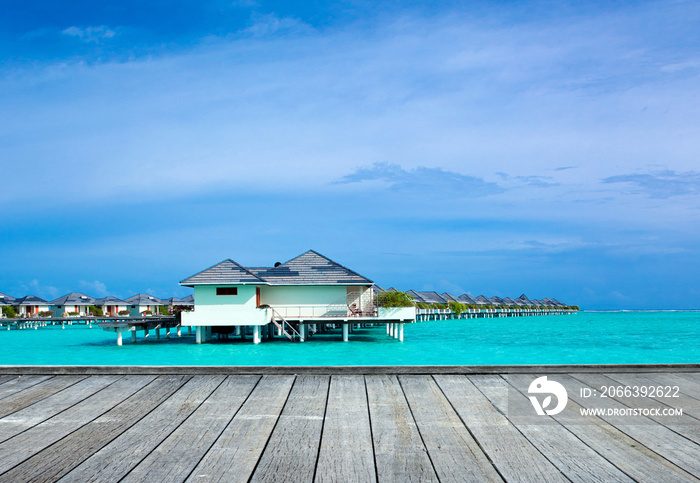 tropical beach in Maldives with few palm trees and blue lagoon