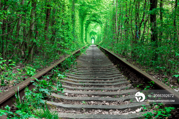 a railway in the spring forest. Tunnel of Love, green trees and the railroad