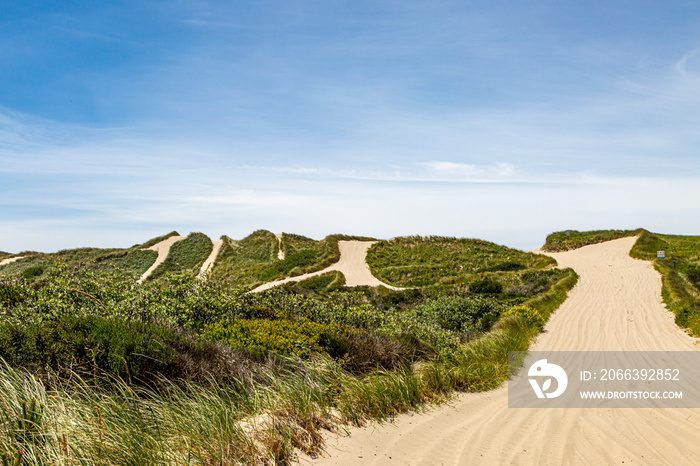 Pathways through sand dunes at Oregon Dunes National Recreation Area, on a summers day