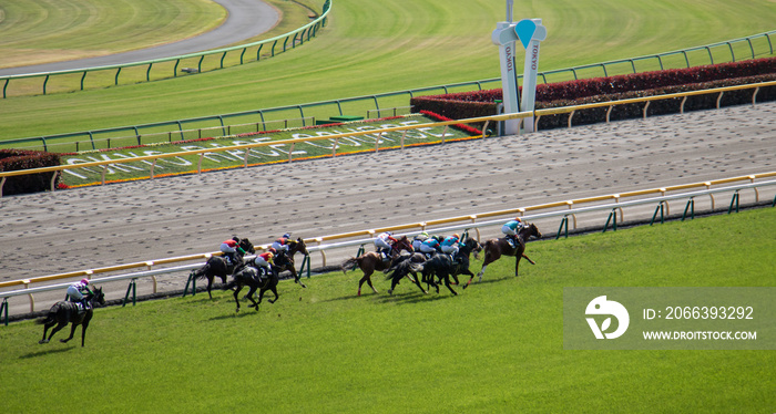 競馬　東京競馬場