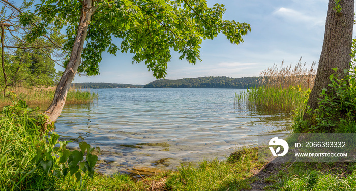 Naturparadies Werbellinsee Taucheinstieg  Dornbusch