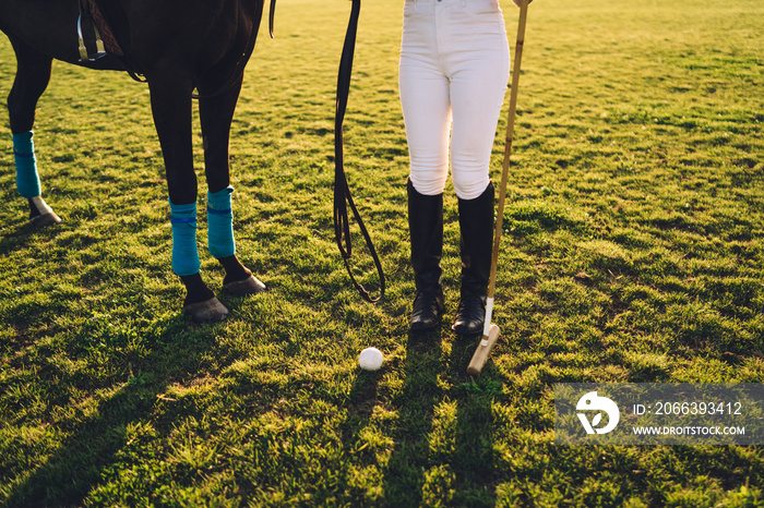 Crop equestrian with polo stick ball and horse on playing field