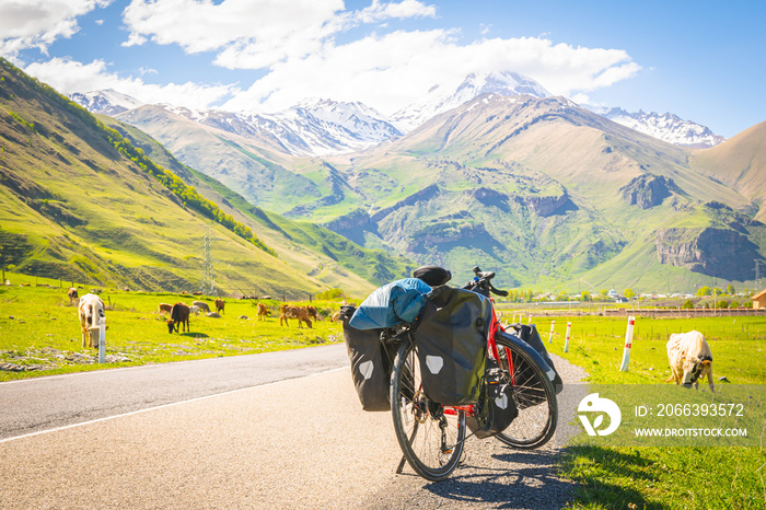 Loaded with bags red bicycle  stands on the side of the road surounded by cows in a countryside of KAzbegi national park. Bicycle touring holiday.