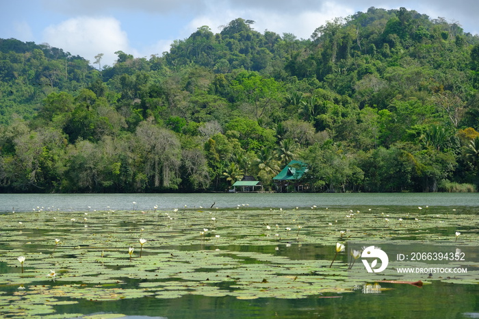 Guatemala Livingston - Rio Dulce beautiful landscape - Lago de Izabal