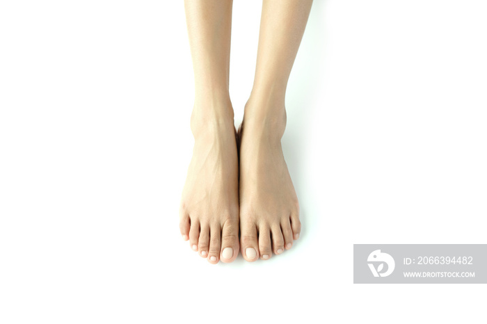 Beautiful female legs and feet on a white background.