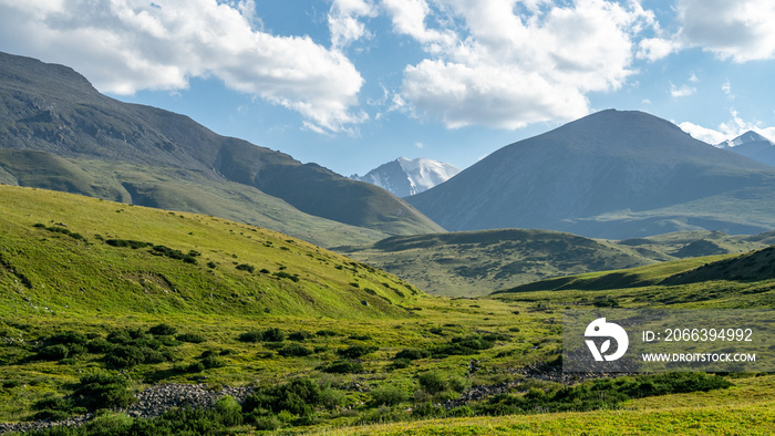 panoramic view of the mountain plateau. beautiful green mountain hills and peaks