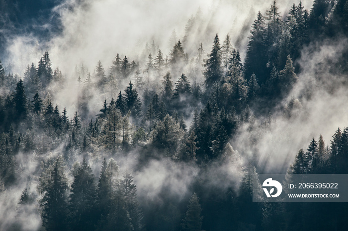 Dense morning fog in alpine landscape