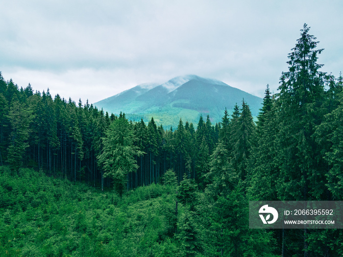 landscape scenic panoramic view of carpathian mountains