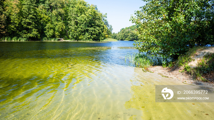 Lake and shallow shore