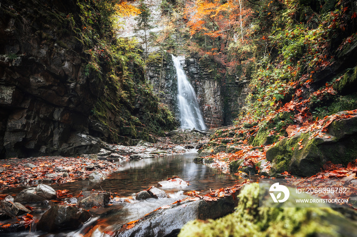 panoramic autumn landscape in the mountains, vertical autumn scenery, Ukraine, Europe, Carpathian mountains