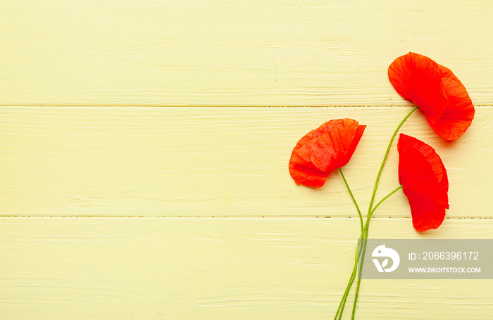 Beautiful red poppy flowers on color wooden background