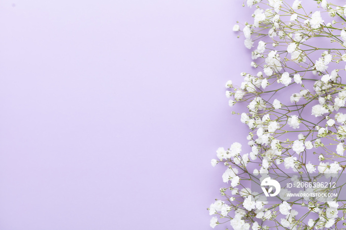 Beautiful flower background of pink gypsophila flowers. Flat lay, top view. Floral pattern.