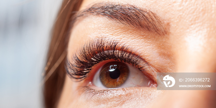 Woman Eyes with Eyelashes Extension. Lashes extension.