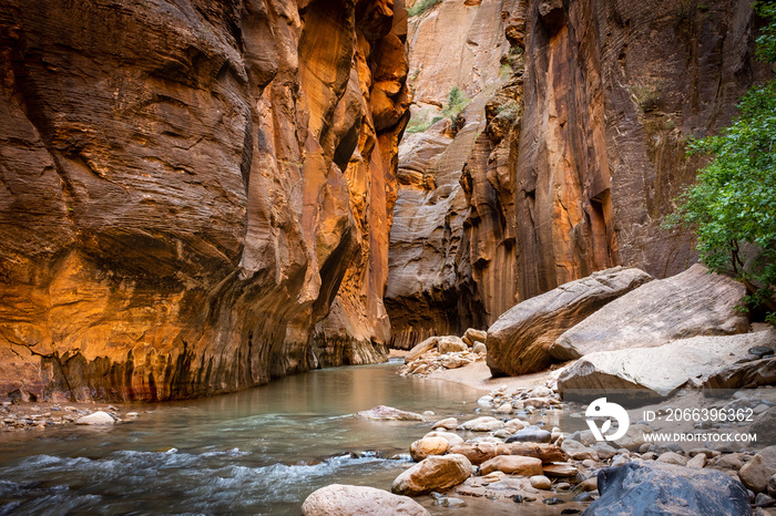 The spectacular and stunning Virgin River weaves through the Narrows, Zion National Park, USA, landscape aspect low down angle