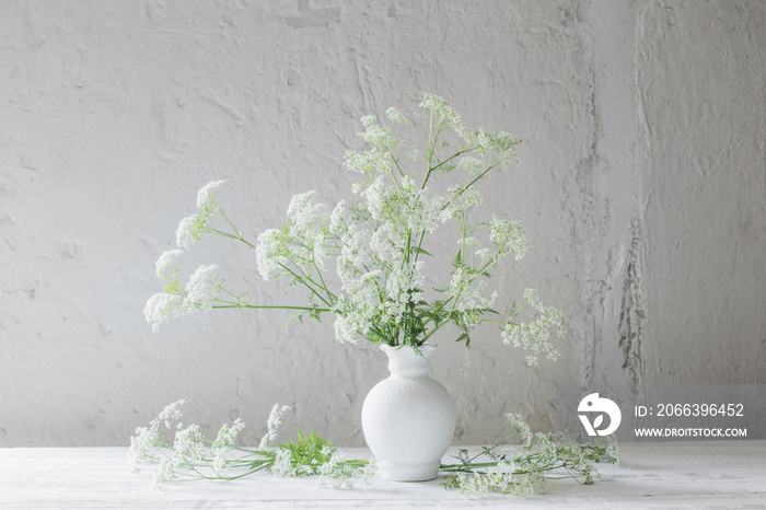 white wild flowers in vase on white background