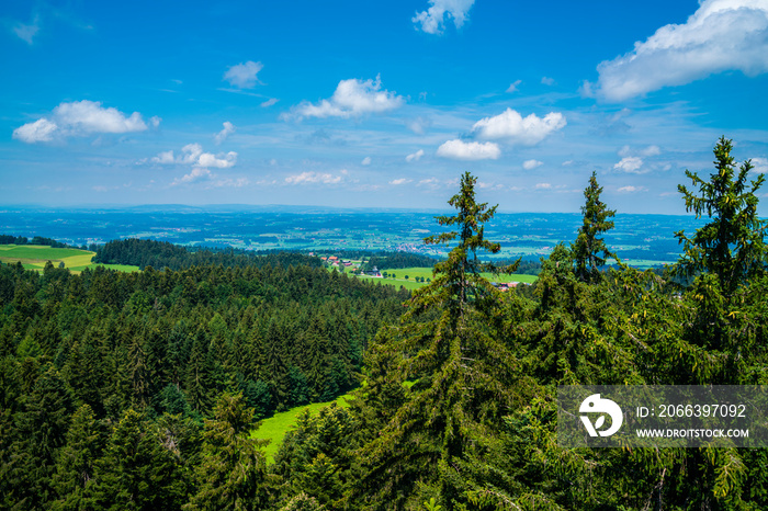 Germany, Panorama view above forest tree tops and green nature landscape of allgäu hiking paradise