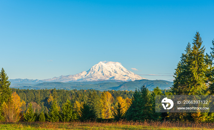 Mount Rainier-Landscape of the West Face of Mount Rainier in Late Afternoon Light with Fall Color in the Foreground