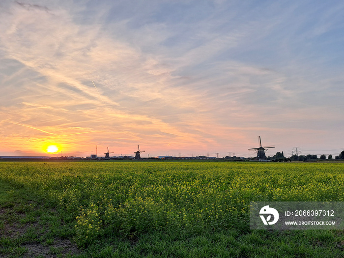 Sunset over the meadows of the Tweemanspolder in Zevenhuizen