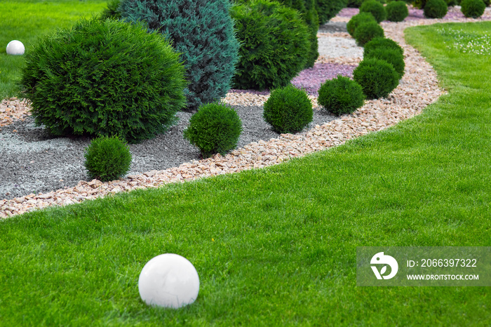 Landscaping of garden with wave ornamental growth cypress bushes by stone mulch way on a day summer park details with round white ground lantern, nobody.