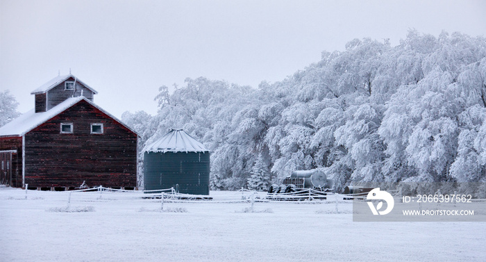 Winter Frost Saskatchewan