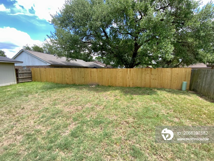 Spacious suburban backyard with a newly installed wooden fence, complemented by a lush green tree casting shade over a well-maintained lawn, under a clear blue sky with scattered clouds.