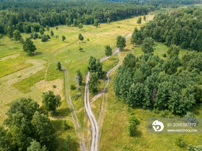 Dirt path in the summer green forest. Aerial drone view.