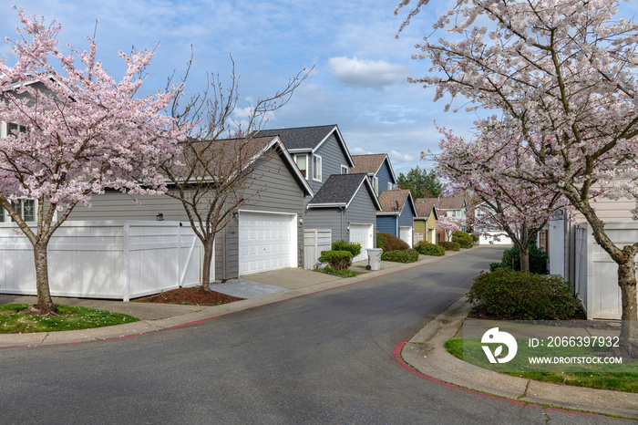 Neighborhood Spring blooms and homes in Kent Washington.