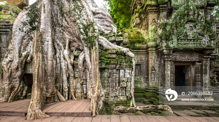 ancient ruins of Ta Prohm