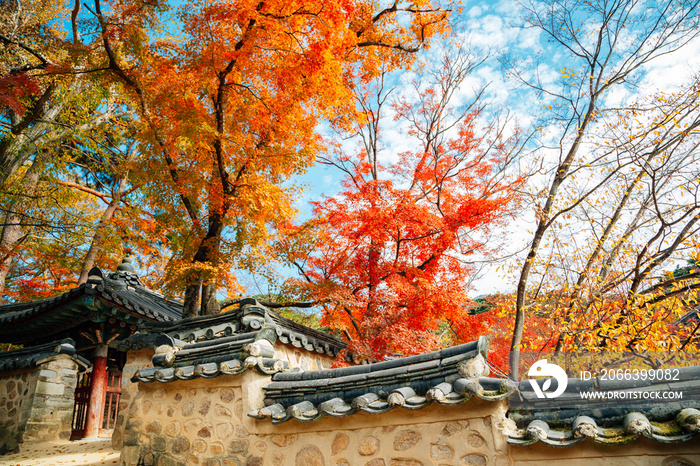 Bulguksa temple at autumn in Gyeongju, Korea