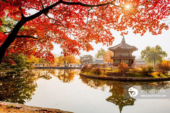 Autumn in Gyeongbokgung Palace, Seoul in South Korea.