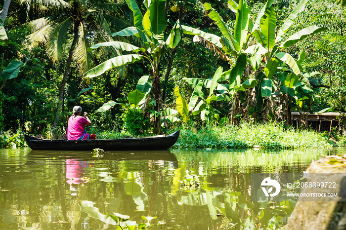 Old local woman paddling in a small boat through the Kerala backwaters along lush jungle, Alleppey - Alappuzha, India