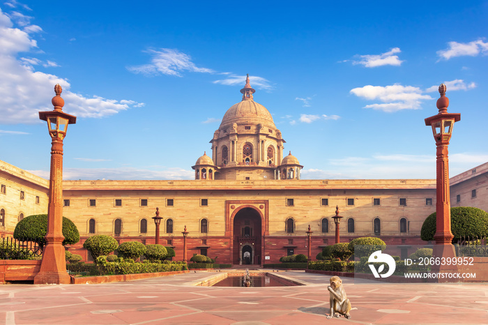 A monkey near the Rashtrapati Bhavan, the Presidential palace in New Dehli, India