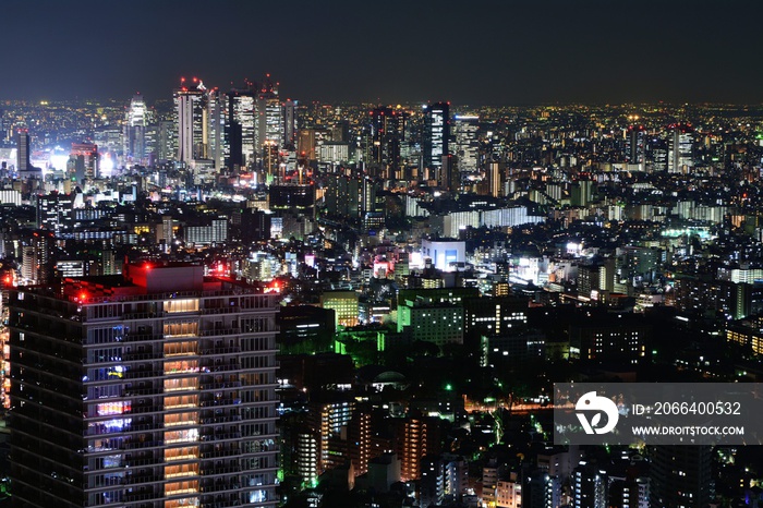 池袋方面から望む新宿の高層ビル群の夜景