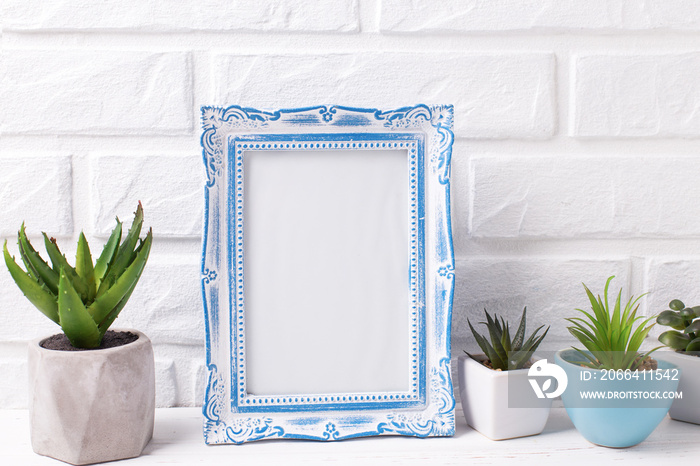 Blue empty frame mockup and succulents and cactus plants in pots