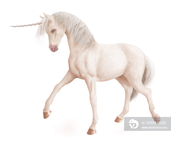 cheval-licorne-blanc-féérique-fantaisie-animal-photo-illustration-3D-pas décidé