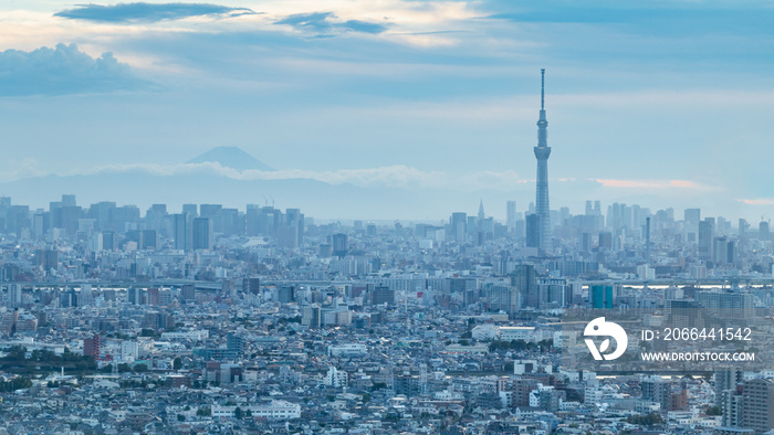 青空を背景に千葉県から見た東京方面のビル群と富士山