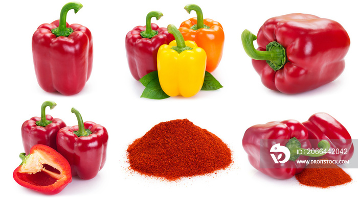 Collection of fresh pepper on white background