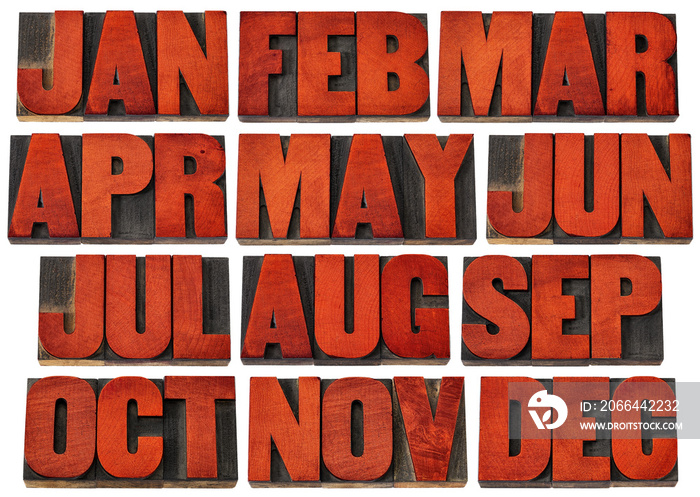 calendar icons - months in wood type