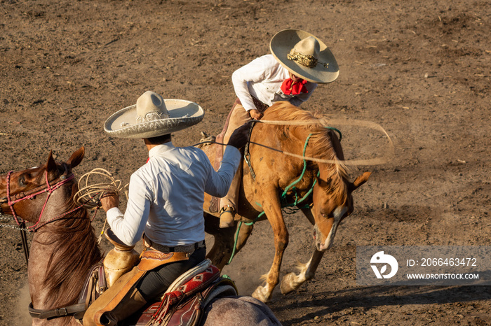 CHARROS