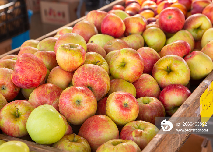 Honecrisp apples at a local outdoor market