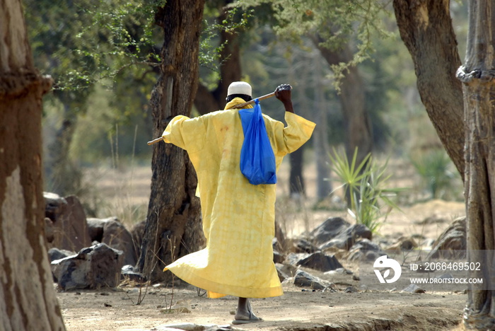 Homme seul de dos, tunique jaune, baluchon sur lépaule, forêt de baobabs, Pays Dogons, Mali, Afriqu