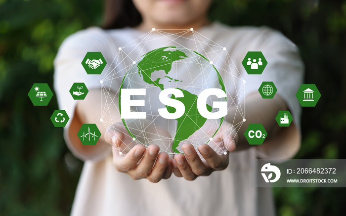 可持续和道德部门环境、社会和治理的ESG图标概念
