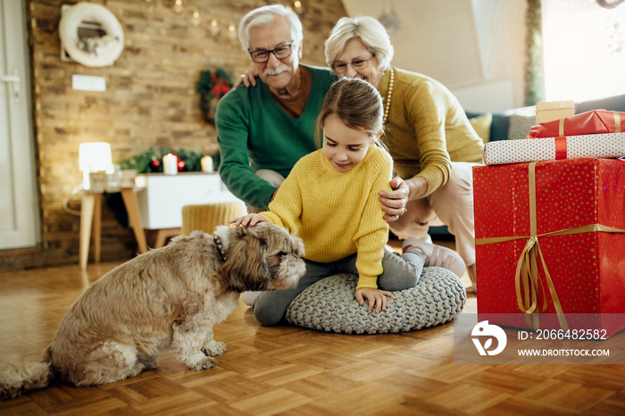 Small girl and her grandparents enjoying with a dog at home on Christmas day.