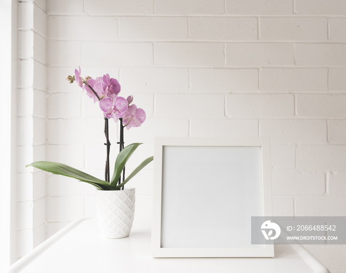 White blank square frame on table with purple striped phalaenopsis order against painted brick wall 