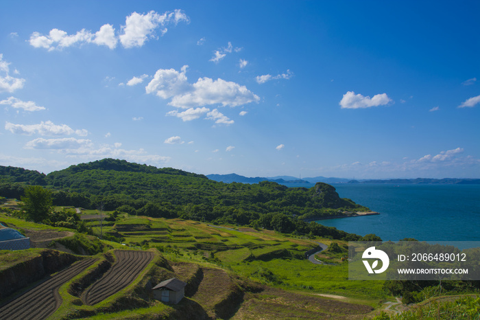 豊島　Rice fields and Setonai sea view from Teshima Island, Setouchi, Japan