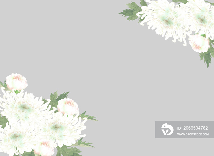 白い菊の花のフレーム