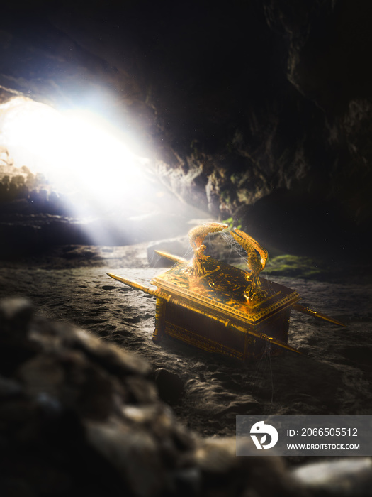 洞穴中布满蛛网的方舟/3D渲染