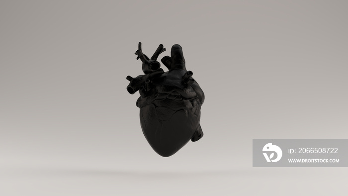 Black  Heart Anatomical 3d illustration 3d render
